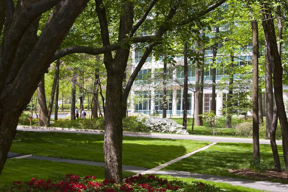 Falls Church Marriott Fairview Park Exteriör bild